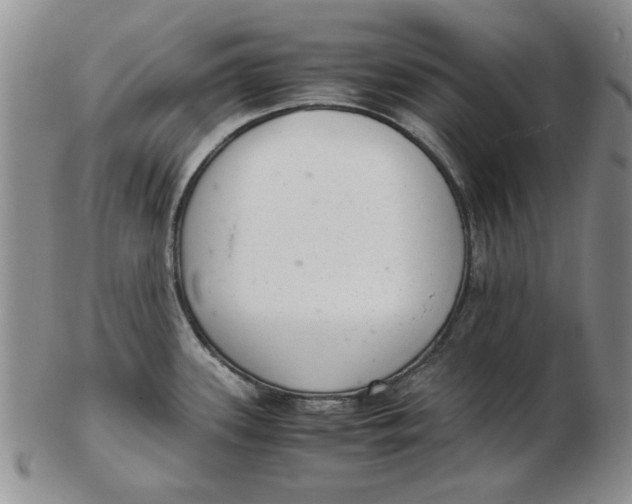 X0000102761339200809080932