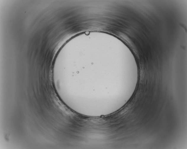 X0000102761340200809080932