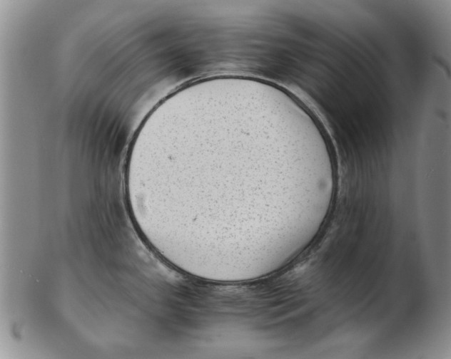 X0000102761341200809080932