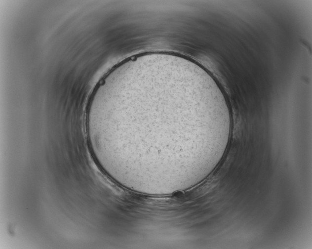 X0000102761342200809080932