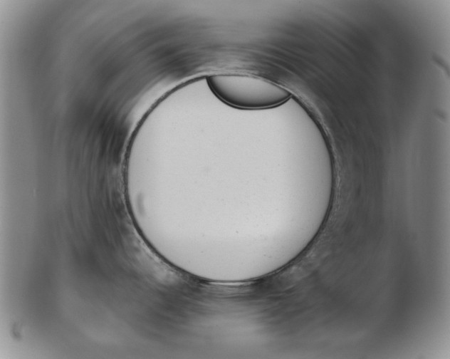 X0000102761344200809080932