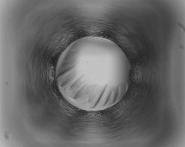 X0000102761346200809080932