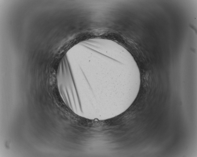 X0000102761349200809080931