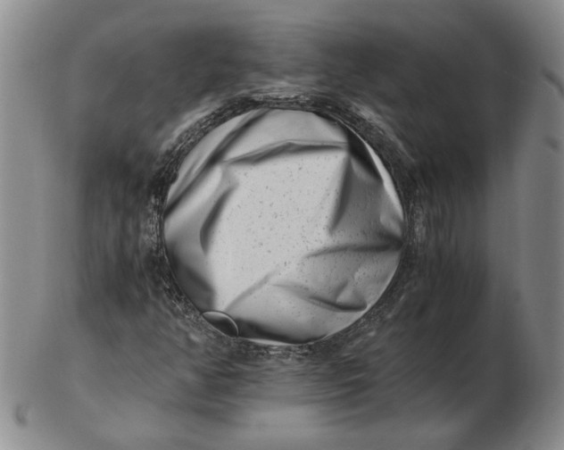 X0000102761350200809080931