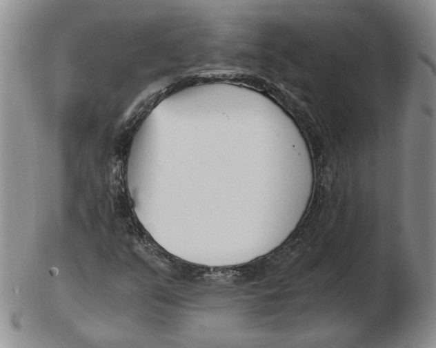 X0000102761351200809080931