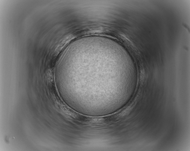 X0000102761353200809080931