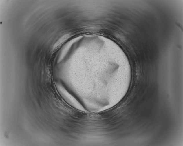 X0000102761354200809080931