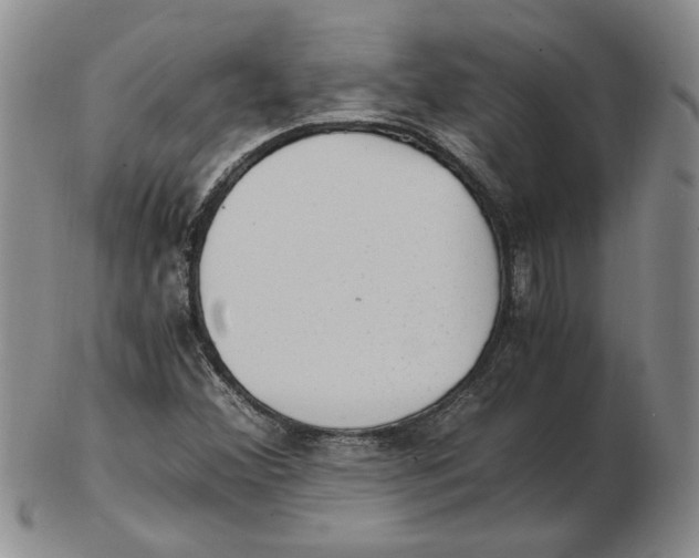 X0000102761356200809080931