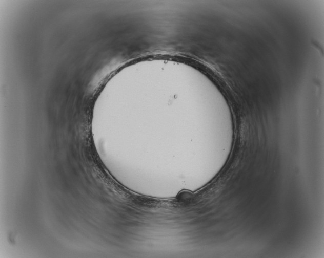 X0000102761359200809080931