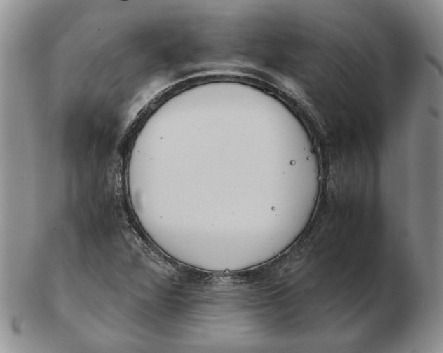 X0000102761360200809080931