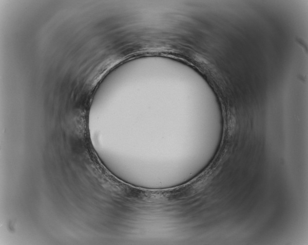 X0000102761361200809080931