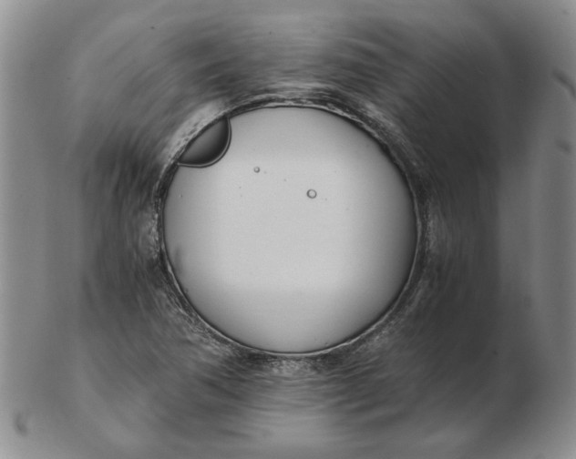 X0000102761362200809080931