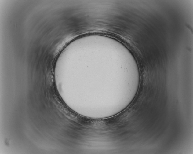 X0000102761363200809080931