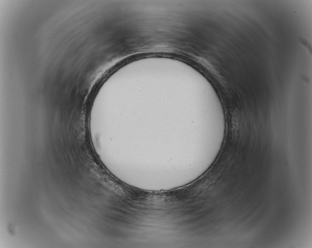 X0000102761364200809080931