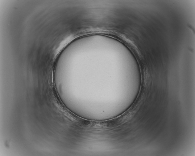 X0000102761365200809080931