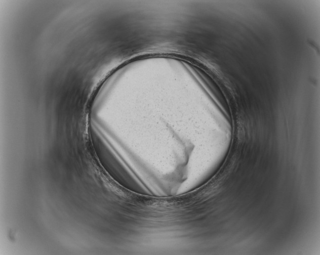 X0000102761366200809080931