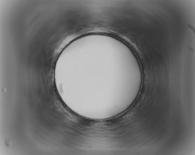 X0000102761367200809080931