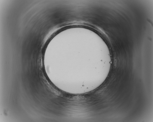 X0000102761368200809080931