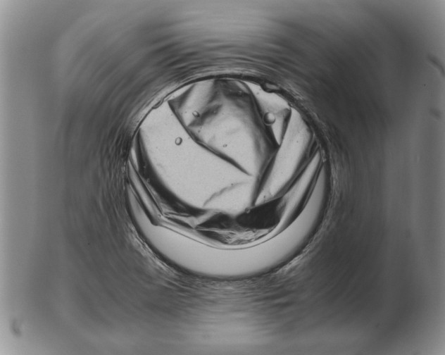 X0000102761369200809080931