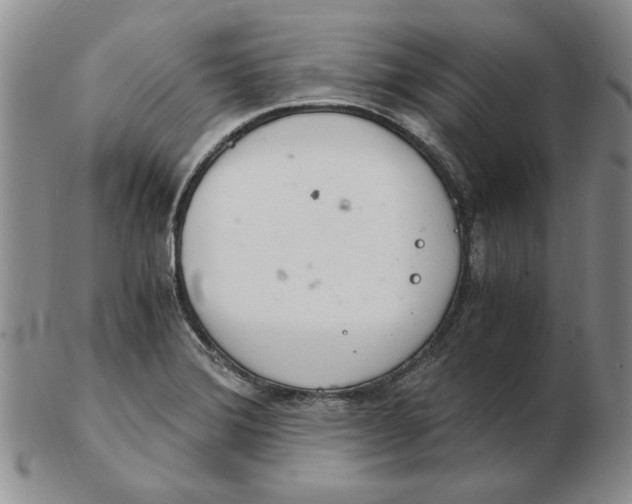 X0000102761372200809080931