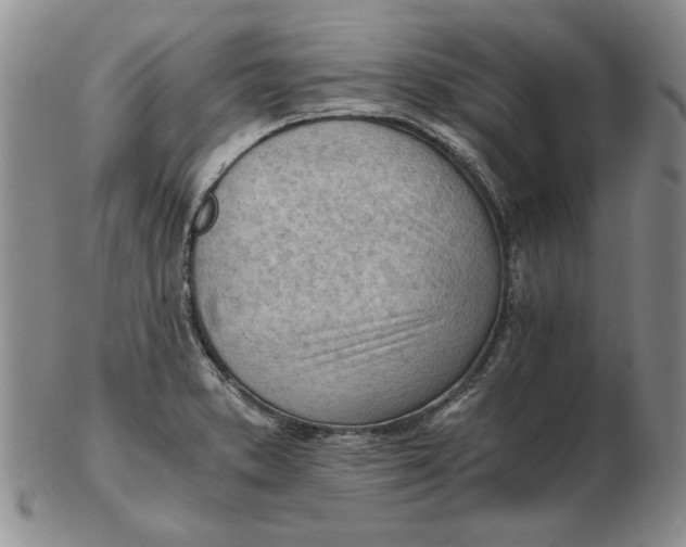 X0000102761373200809080931