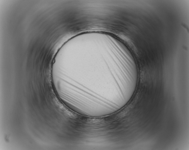 X0000102761374200809080931