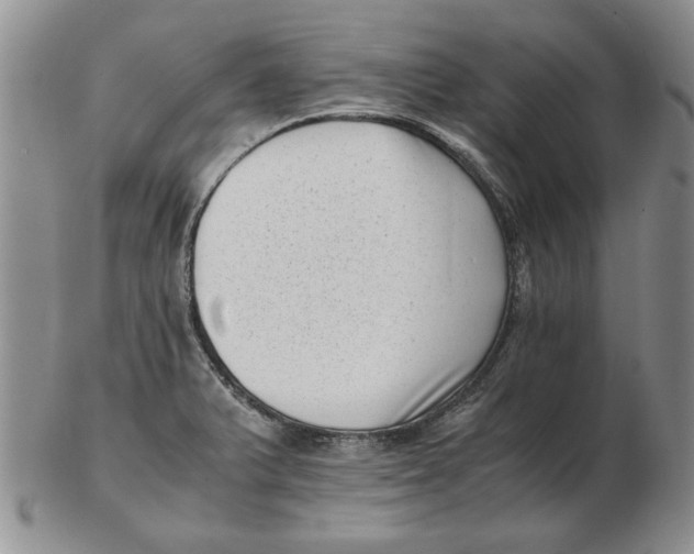 X0000102761375200809080931