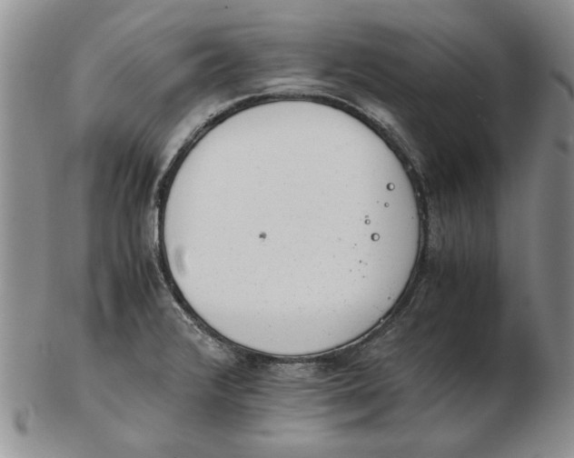 X0000102761376200809080931