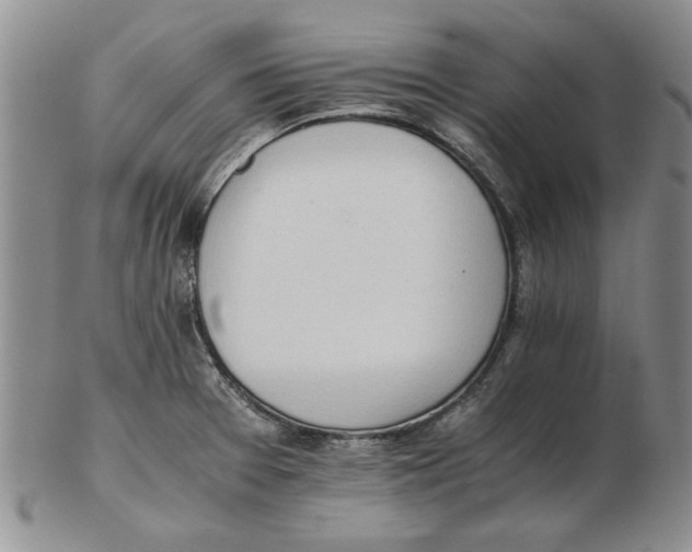 X0000102761377200809080931