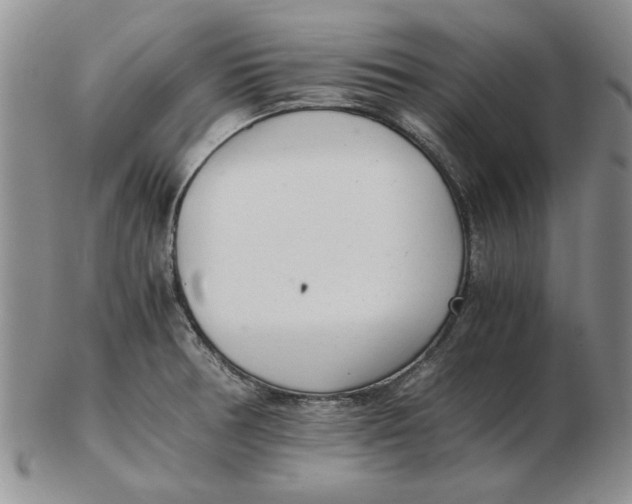 X0000102761378200809080931