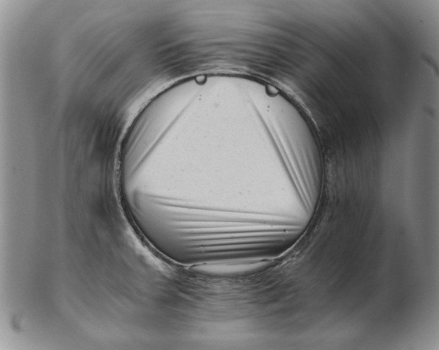 X0000102761379200809080931