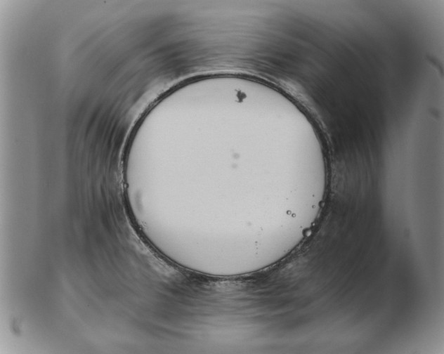 X0000102761380200809080931