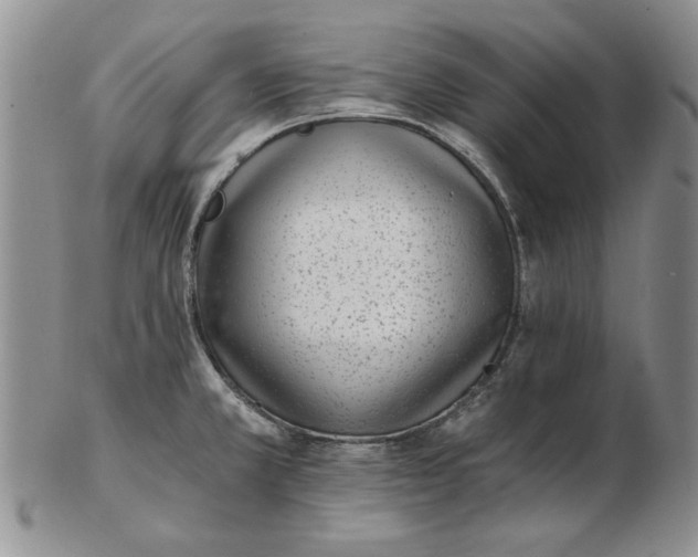 X0000102761381200809080931