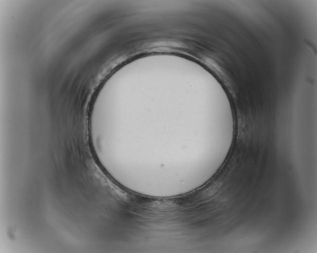 X0000102761384200809080931