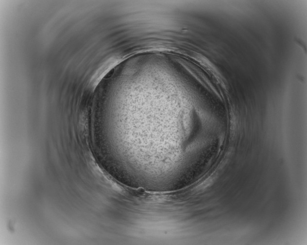 X0000102761385200809080931