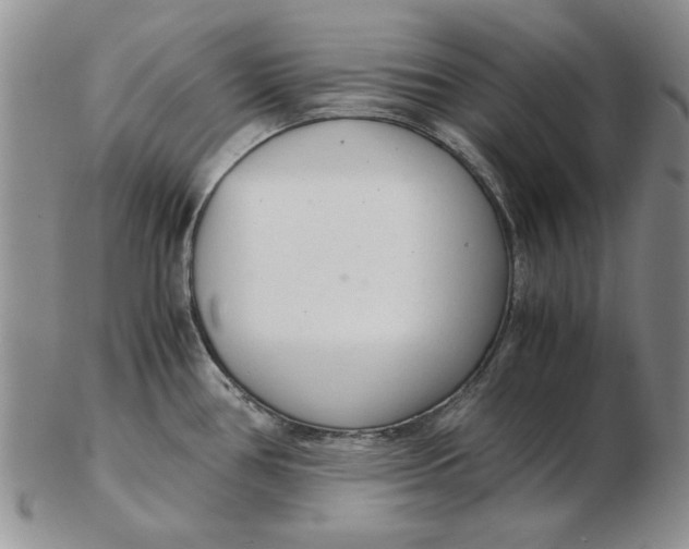 X0000102761386200809080931