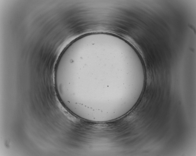 X0000102761388200809080931