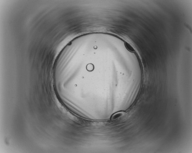 X0000102761389200809080931