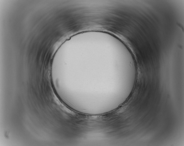 X0000102761390200809080931