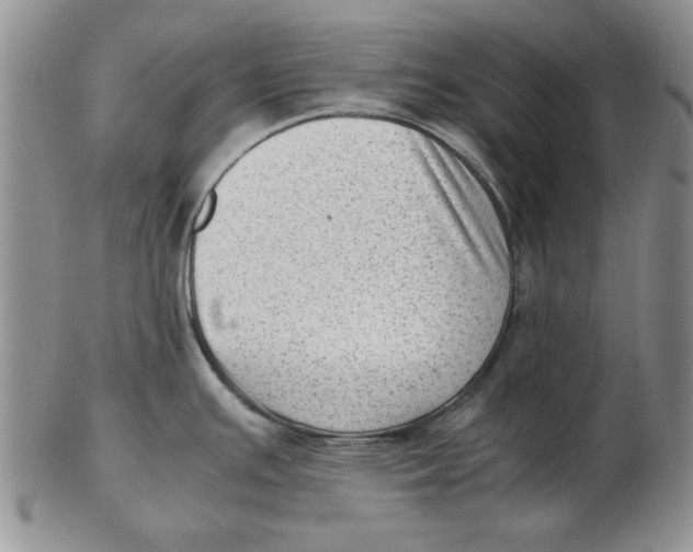 X0000102761391200809080931