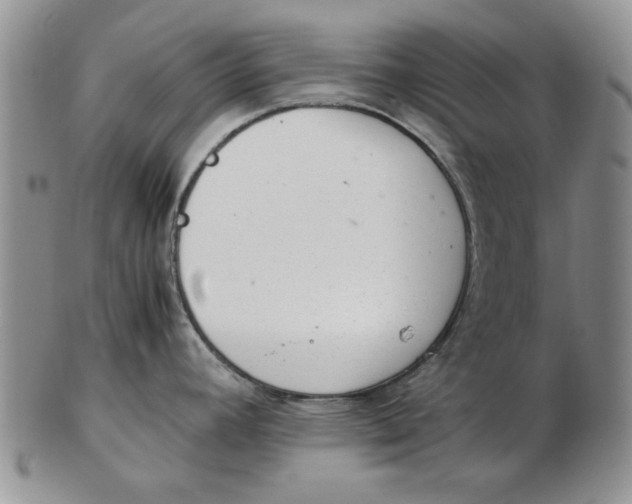 X0000102761392200809080931