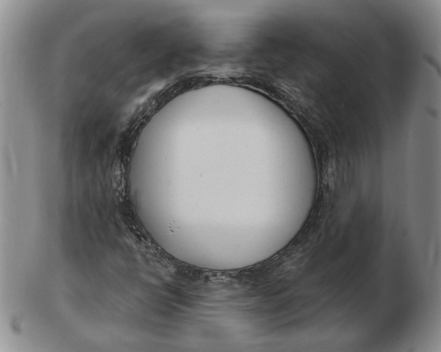 X0000102761398200809080930