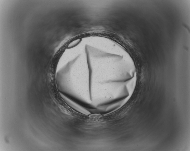 X0000102761400200809080930