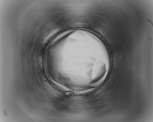 X0000102761402200809080930