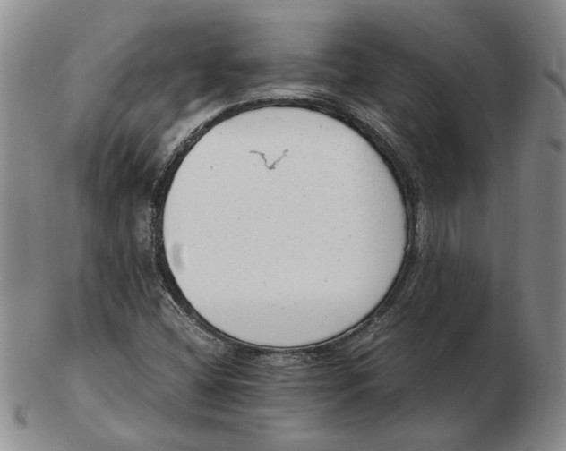 X0000102761404200809080930