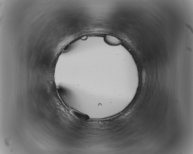 X0000102761405200809080930