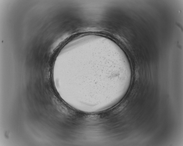 X0000102761406200809080930