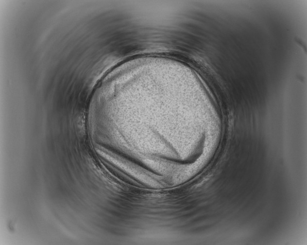 X0000102761409200809080930