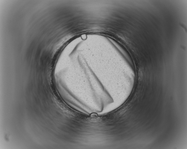 X0000102761410200809080930