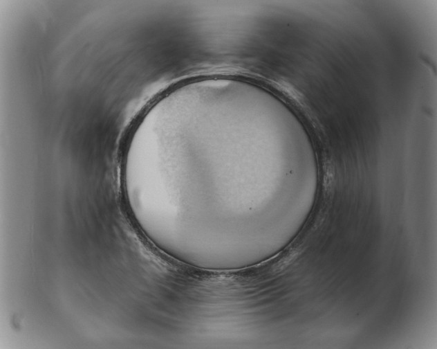 X0000102761414200809080931